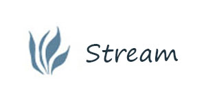 Stream 